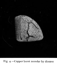 Copper burst asunder by disease